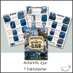Faktatexter - Antarktis djur