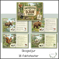 18 faktatexter om skogens djur