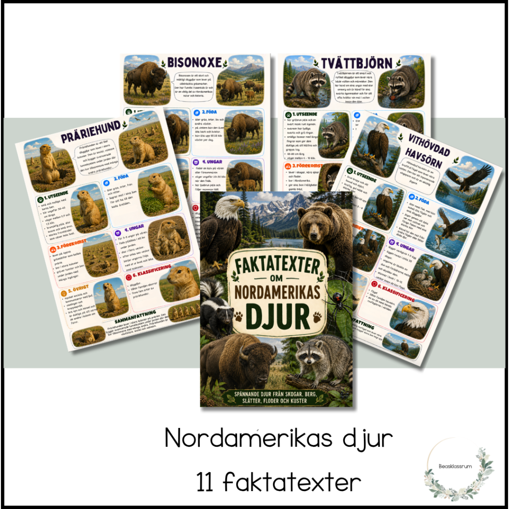 Faktatexter – Nordamerikas djur