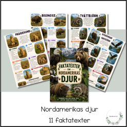 Faktatexter - Nordamerikas djur