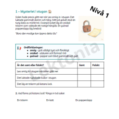 Skattjaktens kod: Läsförståelse på 3 nivåer: