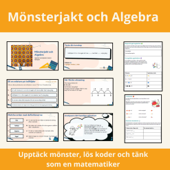 Mönsterjakt: Algebra