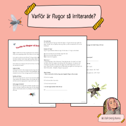 Läsförståelse med tillhörande frågor - Varför är flugor så irriterande?