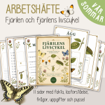 Fjärilens liv och livscykel – arbetshäfte med fakta, uppgifter och pyssel - bild 1