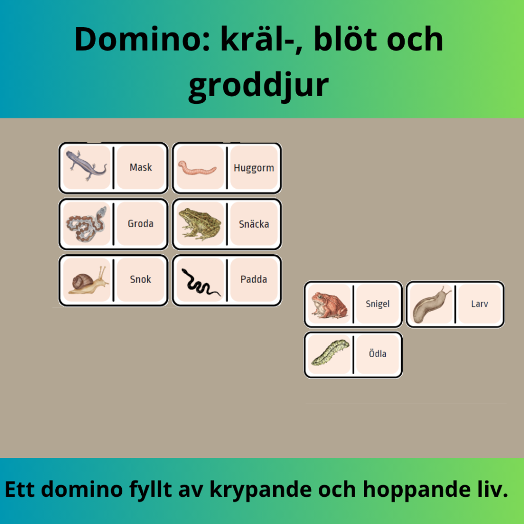 Domino: Svenska kräl-, blöt- och groddjur