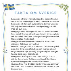 Sveriges nationaldag