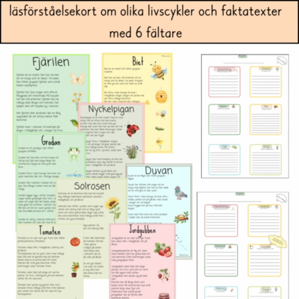 Fakatexter med 6 fältare och läsförståelsetexter om livscykler