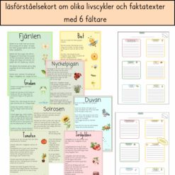 Fakatexter med 6 fältare och läsförståelsetexter om livscykler