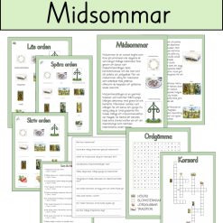 Midsommar- Läsförståelsefrågor med tillhörande frågor och sant eller falskt frågor.