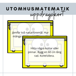 Uppdragskort i matematik