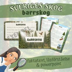 Paket barrskog powerpoint & faktatext med läsförståelsefrågor