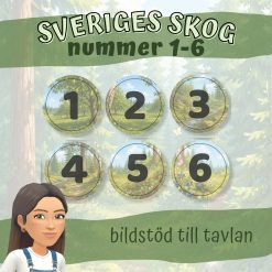 Sveriges skog_ bildstöd nummer 1-6