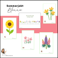 Sommarjakt - Blommor