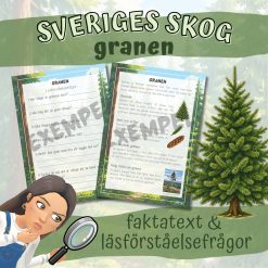Paket barrskog powerpoint & faktatext med läsförståelsefrågor