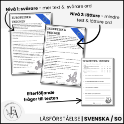 EU - Läsförtåelse i två nivåer + bildstöd