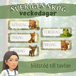Sveriges skog_ Bildstöd veckodagar