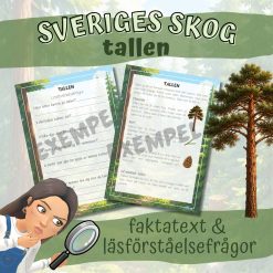 Sveriges skog _ tallen