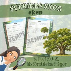 Sveriges skog_eken