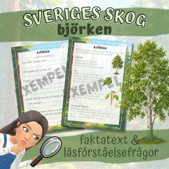Sveriges skog_björken