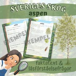 Sveriges skog_aspen