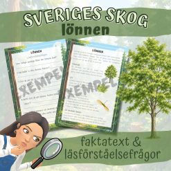 Sveriges skog_rönnen