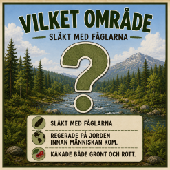 🦖 Tema: Dinosaurier – ett färdigt arbetsområde för F–3!
