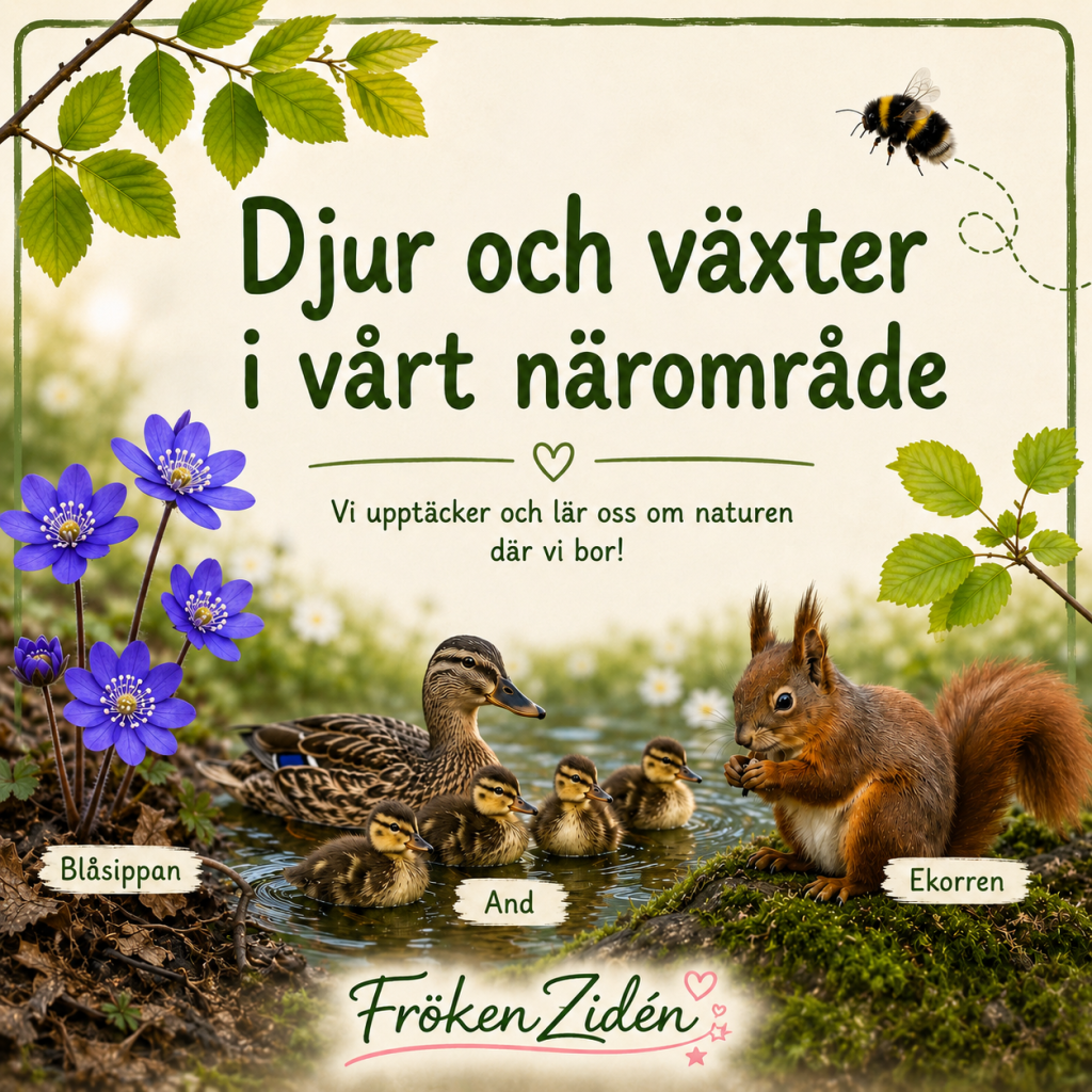 Djur och växter i vårt närområde – ett komplett arbetsområde i NO för F–3 🌿🦔🐿️🦆