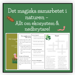 Det magiska samarbetet i naturen – Allt om ekosystem & nedbrytare!