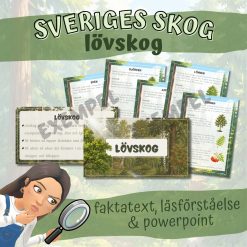 Paket lövskog powerpoint & faktatext med läsförståelsefrågor