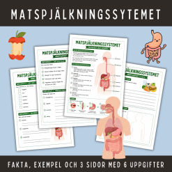Fakta och arbetsuppgifter om matspjälkning