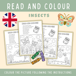 Read and Color, Insects & Butterflies