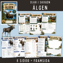 Skogens djur - Älgen