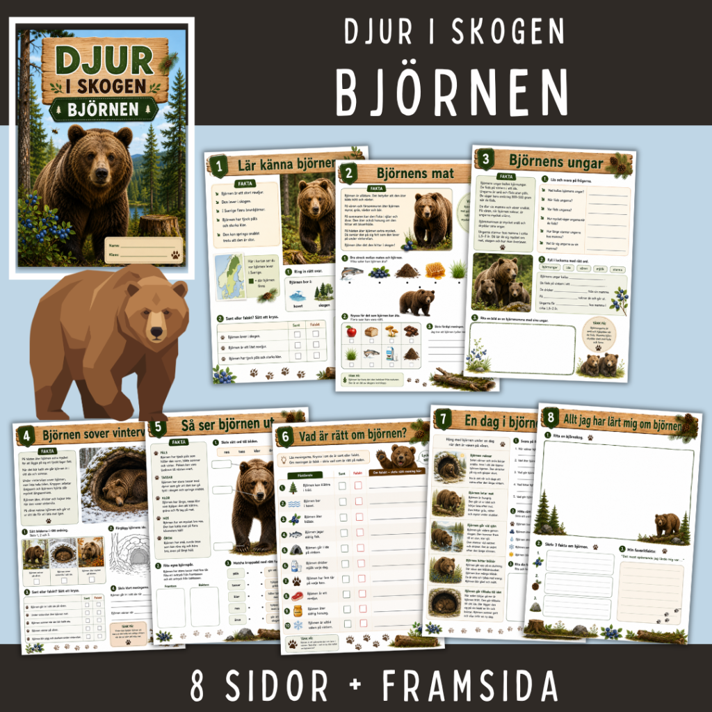 Skogens djur – Björnen