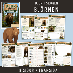 Skogens djur - Björnen