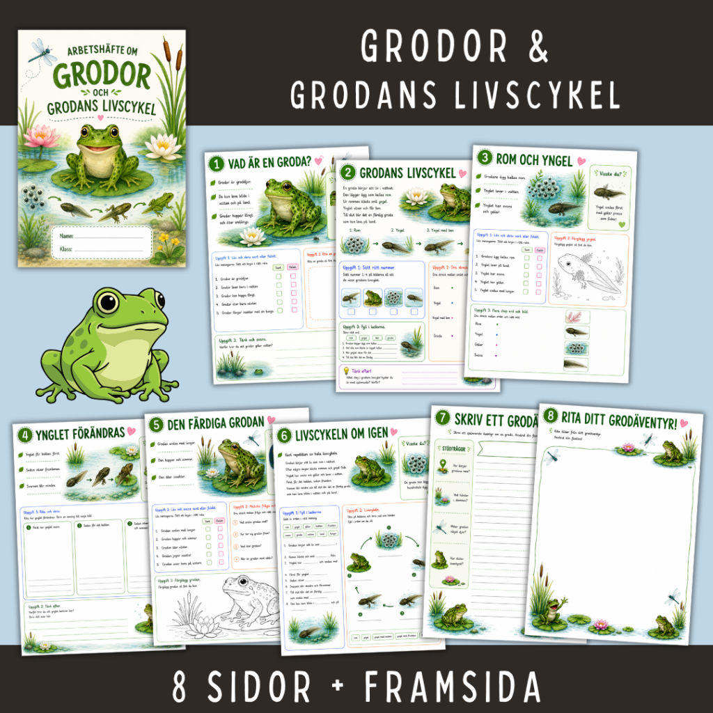 Grodor och grodans livscykel