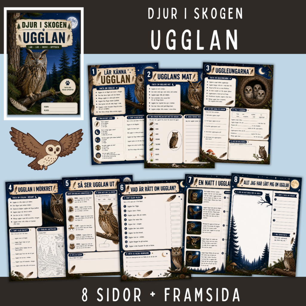 Skogens djur – Ugglan