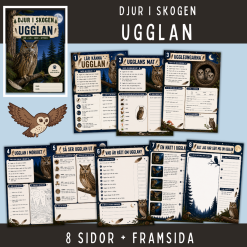Skogens djur - Ugglan