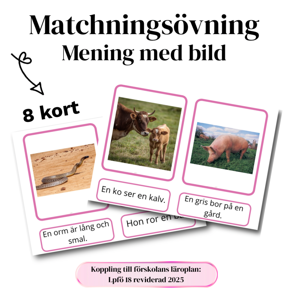 Matchningsövning: Mening med bild