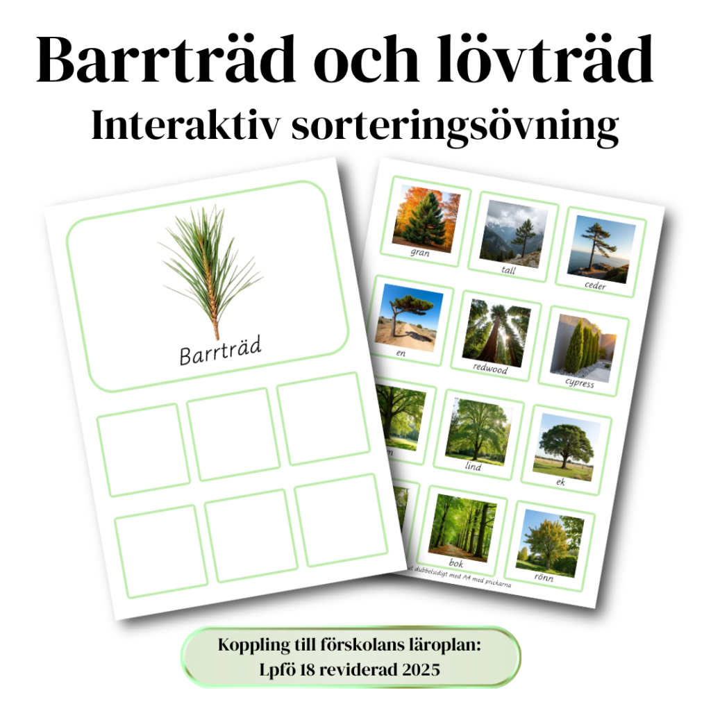 Sorteringsmaterial: Lövträd & barrträd (Montessori)