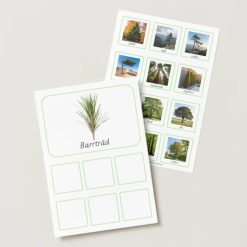 Sorteringsmaterial: Lövträd & barrträd (Montessori)
