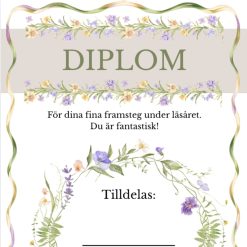 Diplom och medalj för skolavslutning