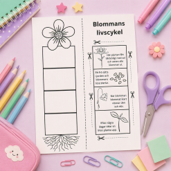 Blommans livscykel
