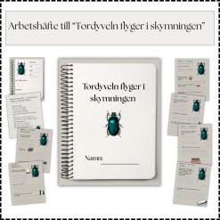 Arbetshäfte till Tordyveln flyger i skymningen (lättläst) – Läsförståelse – Arbetsblad till varje kapitel