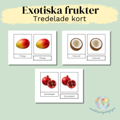 Exotiska frukter - Tredelade kort (Montessori)