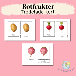 Rotfrukter - Tredelade kort (Montessori)