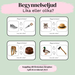 Begynnelseljud - lika eller olika?