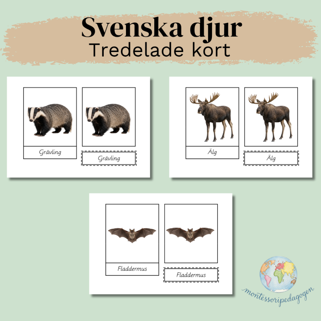 Svenska djur – Tredelade kort (Montessori)
