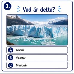 🌍 Allmänbildningsquiz – Åk 3