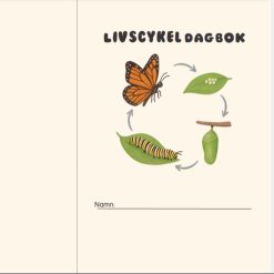 Fjärilens livscykel