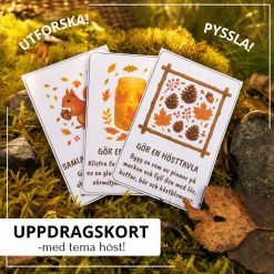 Uppdragskort med hösttema – 27 uppdrag